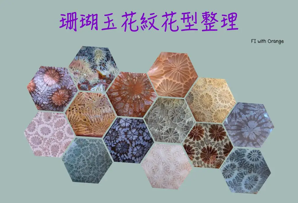 agatized fossil coral all flower pattern